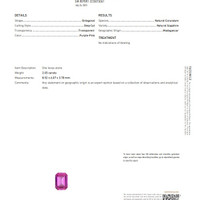 Jewelry Scan Report