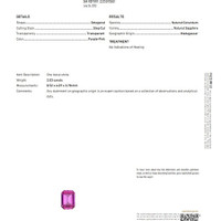 Jewelry Scan Report