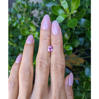 1.32 Ct. Pink Sapphire from Ceylon (Sri Lanka) Life Style