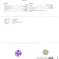 Jewelry Scan Report