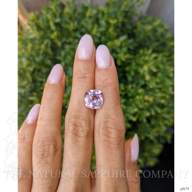 6.64 Ct. Pink Sapphire from Ceylon (Sri Lanka)