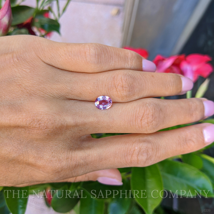 1.46 Ct. Pink Sapphire from Ceylon (Sri Lanka)