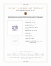 Jewelry Scan Report