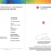 Jewelry Scan Report