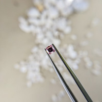 0.29 Ct. Pink Sapphire from Ceylon (Sri Lanka) Life Style