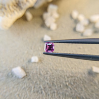 0.25 Ct. Pink Sapphire from Ceylon (Sri Lanka) Life Style