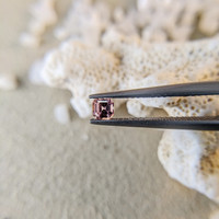 0.22 Ct. Pink Sapphire from Ceylon (Sri Lanka) Life Style