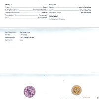 Jewelry Scan Report