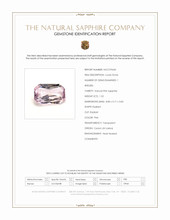 Jewelry Scan Report