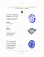 Jewelry 3 D Scan Report