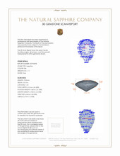 Jewelry 3 D Scan Report