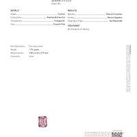 Jewelry Scan Report