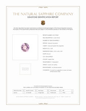 Jewelry Scan Report