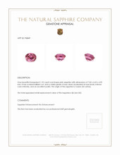 Jewelry Appraisal