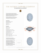 Jewelry 3 D Scan Report
