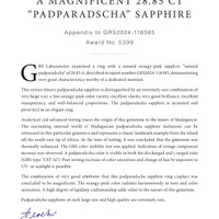 Jewelry Scan Report