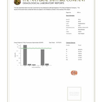 Jewelry Scan Report