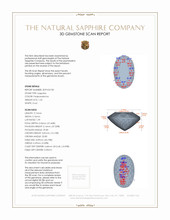 Jewelry 3 D Scan Report