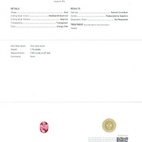 Jewelry Scan Report
