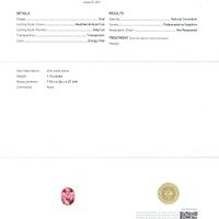 Jewelry Scan Report