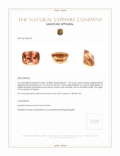 Jewelry Appraisal