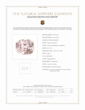 Jewelry Scan Report