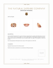 Jewelry Appraisal