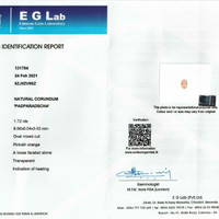 Jewelry Scan Report
