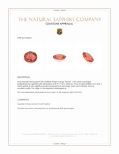 Jewelry Appraisal