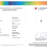 Jewelry Scan Report