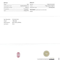 Jewelry Scan Report