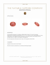 Jewelry Appraisal
