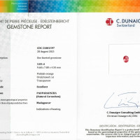 Jewelry Scan Report