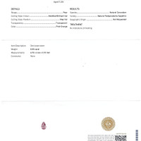 Jewelry Scan Report
