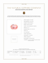 Jewelry Scan Report