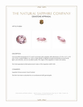 Jewelry Appraisal