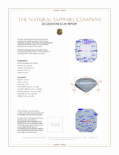 Jewelry 3 D Scan Report