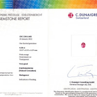 Jewelry Scan Report