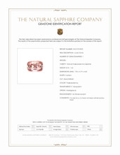 Jewelry Scan Report