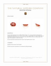 Jewelry Appraisal