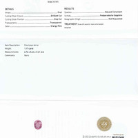 Jewelry Scan Report