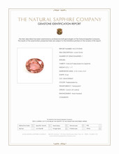 Jewelry Scan Report