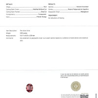 Jewelry Scan Report