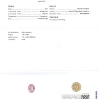 Jewelry Scan Report