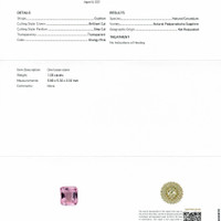 Jewelry Scan Report