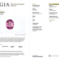 Jewelry Scan Report