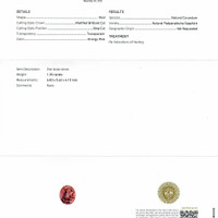 Jewelry Scan Report