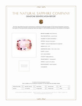 Jewelry Scan Report