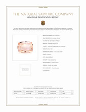 Jewelry Scan Report