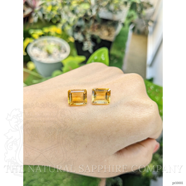 8.78 Ct.Tw. Citrine Pair from Brazil